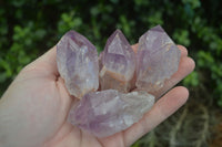 Natural Single Jacaranda Amethyst Crystals  x 24 From Mumbwa, Zambia - Toprock Gemstones and Minerals 