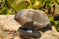 Natural Smokey Quartz Crystal With Polished Terminations  x 1 From Mt. Mulanje, Malawi - TopRock