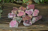 Natural Pink Salrose Cobaltion Dolomite Specimens  x 12 From Kakanda, Congo