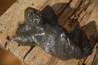 Polished  Black Serpentine Gorilla Carving x 1 From Zimbabwe