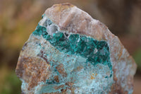 Natural Dioptase In Matrix Specimens  x 12 From Grootfontein, Namibia