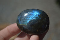 Polished Flashy Labradorite Palm Stones  x 12 From Tulear, Madagascar - Toprock Gemstones and Minerals 