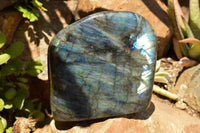 Polished Labradorite Standing Free Forms With Intense Blue Flash x 2 From Sakoany, Madagascar - TopRock