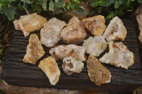 Natural Limonite Quartz Clusters x 12 From Solwezi, Zambia