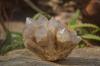 Natural Cascading Smokey Quartz Clusters x 2 From Luena, Congo