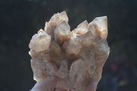 Natural Cascading White Phantom Smokey Quartz Clusters  x 2 From Luena, Congo - Toprock Gemstones and Minerals 