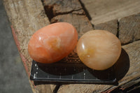 Polished Orange Twist Calcite Palm Stones  x 12 From Madagascar - Toprock Gemstones and Minerals 