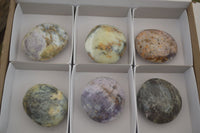 Polished Extra Large Dendritic Opal Palm Stones  x 6 From Madagascar - Toprock Gemstones and Minerals 