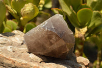 Natural Smokey Quartz Crystal With Polished Terminations  x 1 From Mt. Mulanje, Malawi - TopRock