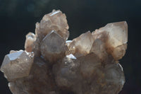 Natural Cascading White Phantom Smokey Quartz Clusters  x 2 From Luena, Congo - Toprock Gemstones and Minerals 