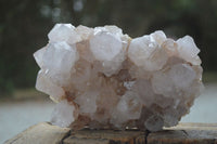 Natural White Spirit Cactus Quartz Clusters  x 2 From Boekenhouthoek, South Africa - Toprock Gemstones and Minerals 