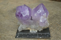 Natural Jacaranda Amethyst Clusters  x 3 From Mumbwa, Zambia - Toprock Gemstones and Minerals 