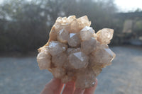 Natural Cascading Smokey Quartz Clusters x 2 From Luena, Congo