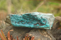 Natural Blue Silica Chrysocolla Specimens  x 5 From Kulukuluku, Congo - TopRock