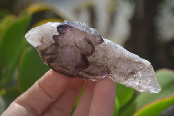 Natural Smokey Window Amethyst Crystals  x 3 From Chiredzi, Zimbabwe