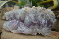 Natural Jacaranda Amethyst Cluster x 1 From Mumbwa, Zambia - TopRock