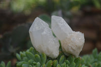 Natural Single Cascading Quartz Crystals  x 35 From Madagascar - Toprock Gemstones and Minerals 