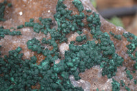 Natural Rare Ball Malachite On Drusy Quartz & Dolomite Matrix  x 1 From Kambove, Congo - Toprock Gemstones and Minerals 