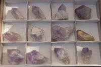 Natural Jacaranda Amethyst Crystals x 12 From Mumbwa, Zambia