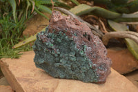 Natural Drusy Coated Ball Malachite On Dolomite Specimen  x 1 From Likasi, Congo