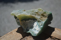 Natural Green Mtorolite / Chrome Chrysoprase Cutting Material  x 5 From Zimbabwe - Toprock Gemstones and Minerals 