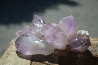 Natural Single Jacaranda Amethyst Crystals  x 24 From Mumbwa, Zambia - Toprock Gemstones and Minerals 