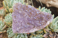 Polished Amethyst Agate Geode Specimens  x 6 From Maintirano, Madagascar - TopRock