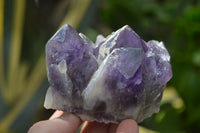 Natural Dark Purple Amethyst Clusters  x 3 From Mapatizya, Zambia - TopRock