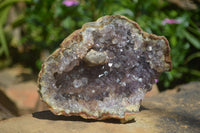 Natural Amethyst In Basalt Geode Specimens  x 6 From Zululand, South Africa - TopRock