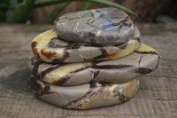 Polished Septerye Free Form Slices   x 6 From Mahajanga, Madagascar - Toprock Gemstones and Minerals 