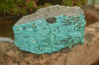 Natural Blue Silica Chrysocolla Specimens  x 5 From Kulukuluku, Congo - TopRock