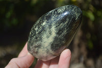 Polished Spotted Leopard Stone Standing Free Forms  x 6 From Zimbabwe