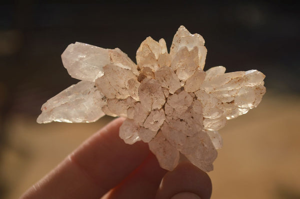 Natural Mixed Selection Of Brandberg Quartz Clusters x 12 From Brandberg, Namibia