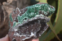 Natural Rare Ball Malachite On Drusy Quartz & Dolomite Specimens x 3 From Kambove, Congo