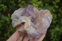 Natural Jacaranda Amethyst Clusters x 2 From Zambia