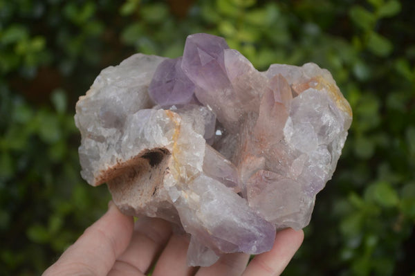 Natural Jacaranda Amethyst Clusters x 2 From Zambia