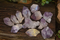 Natural Jacaranda Amethyst Crystals x 12 From Mumbwa, Zambia