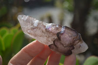 Natural Smokey Window Amethyst Crystals  x 3 From Chiredzi, Zimbabwe