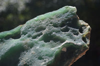 Natural Green Mtorolite / Chrome Chrysoprase Cutting Material  x 5 From Zimbabwe - Toprock Gemstones and Minerals 