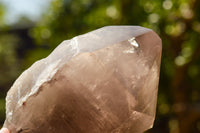 Polished Large Smokey Quartz Crystal With Polished Terminations & Natural Crystalline Sides x 1 From Malawi - TopRock