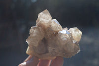 Natural Cascading Smokey Quartz Clusters x 3 From Luena, Congo