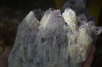 Natural Sugar Amethyst Quartz Cluster  x 1 From Zambia - Toprock Gemstones and Minerals 