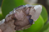 Natural Smokey Window Amethyst Crystals  x 3 From Chiredzi, Zimbabwe