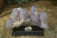 Natural Spirit Amethyst Quartz Clusters x 6 From Boekenhouthoek, South Africa