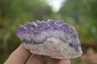 Natural Deep Jacaranda Amethyst Crystal Clusters  x 6 From Zambia - TopRock