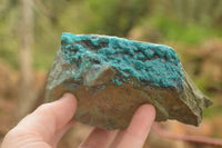 Natural Blue Silica Chrysocolla Specimens  x 5 From Kulukuluku, Congo - TopRock