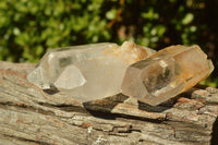 Natural Semi Optic Single Quartz Crystals x 35 From Serenje, Zambia - TopRock