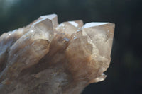 Natural Cascading White Phantom Smokey Quartz Clusters  x 2 From Luena, Congo - Toprock Gemstones and Minerals 