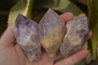 Natural Jacaranda Amethyst Crystals x 12 From Mumbwa, Zambia