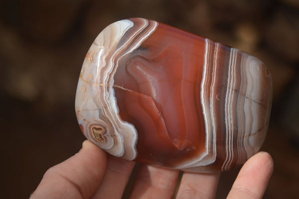 Polished Large Red Sache River Agate Nodules x 6 From Sashe River, Zimbabwe